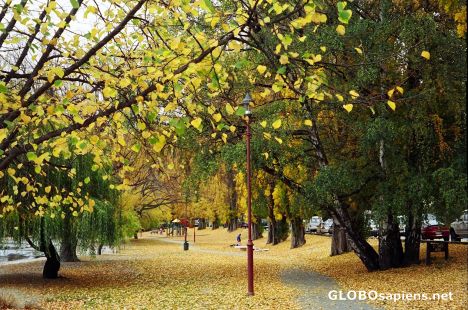 Postcard Queenstown Park