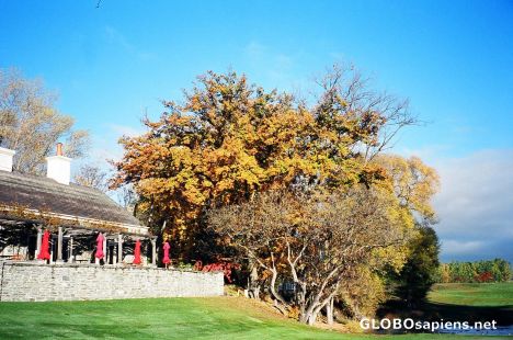 Postcard Millbrook Resort
