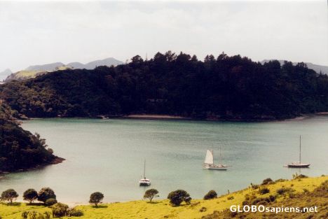 Postcard Bay of Islands