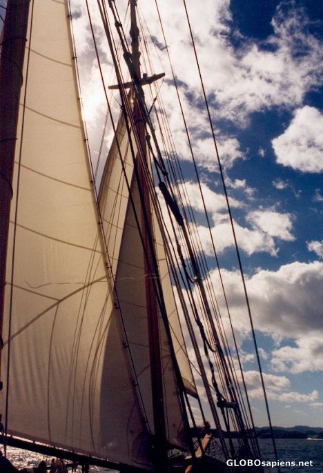 Postcard Sails