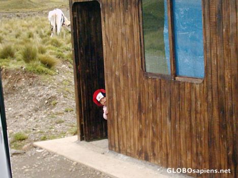 Postcard Peekaboo at Pastoruri Park Gate