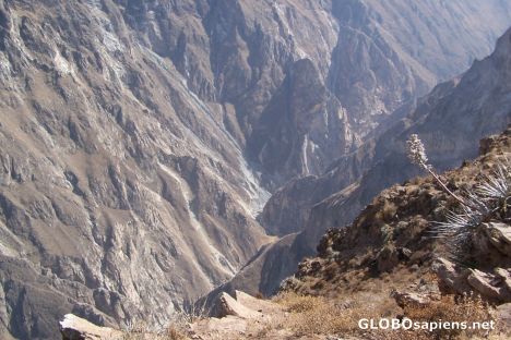 Postcard Cañon del Colca