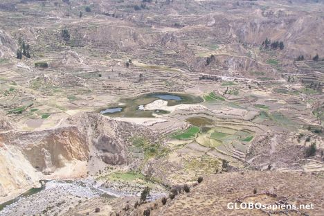 Postcard terrazas incas