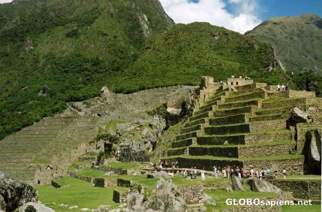 Postcard The Terraces