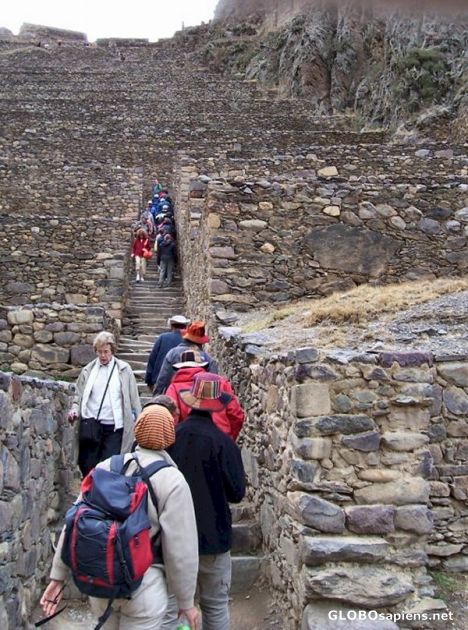 Postcard Group ascending