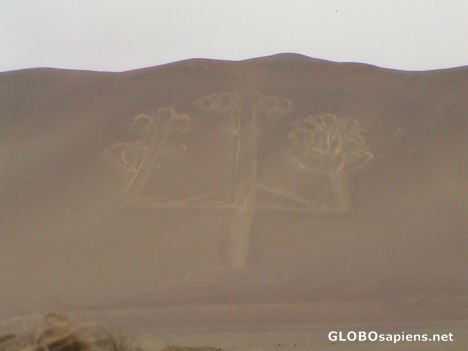Postcard El Candelabro