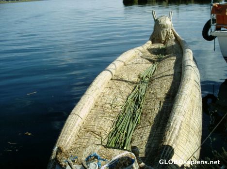 Postcard Reed boat