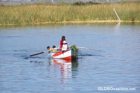 Postcard Lago titicaca