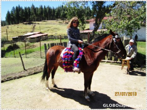 Postcard Granja Porcón ( Porcón Farm)