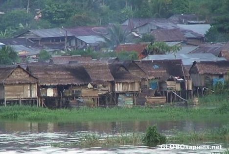 Postcard Pevas township on the Amazon