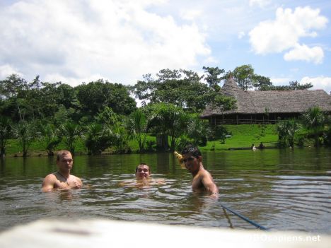 Postcard Manu Reserve