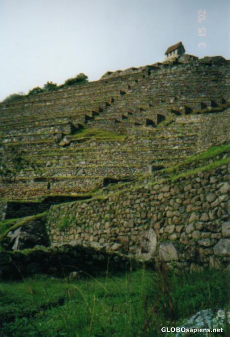 Postcard Looking towards the top