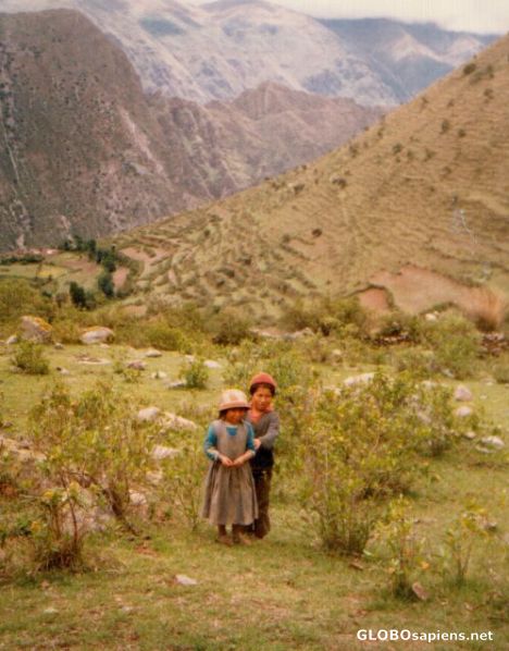 Postcard Shepherds