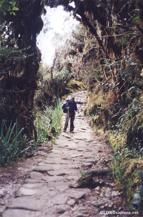 Postcard Me walking at the inca trail.