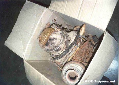 Postcard nazca culture mummy