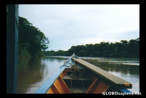Postcard Heading up the Rio Tambopata