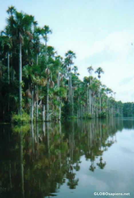 Postcard Lake Sandoval
