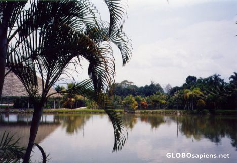 Postcard Venecia country club