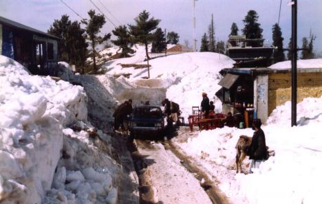 Postcard Snow Fall