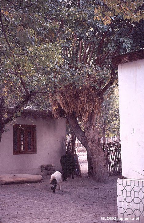 Postcard Pakistan 2008, Skardu, Nainsukh, Storage