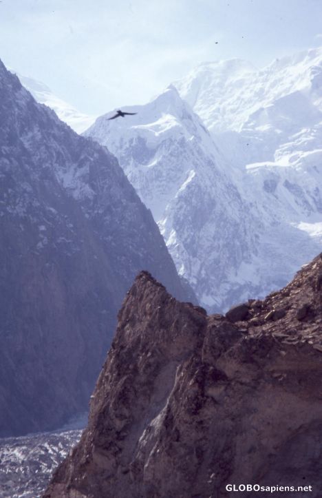 Postcard Pakistan 2008, Karimabad, Hopar Glacier