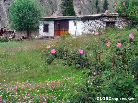 Postcard along the way to Nanga Parbat basecamp