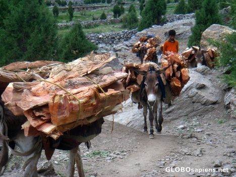 along the way to Nanga Parbat basecamp