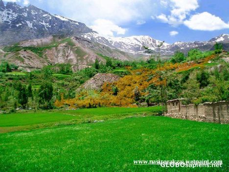 Postcard NWFP Neelum Pakistan