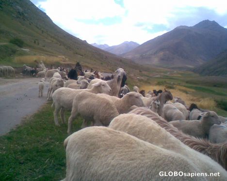 Postcard Daas bala, Astore, Pakistan