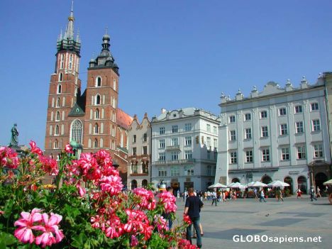 Postcard Krakow