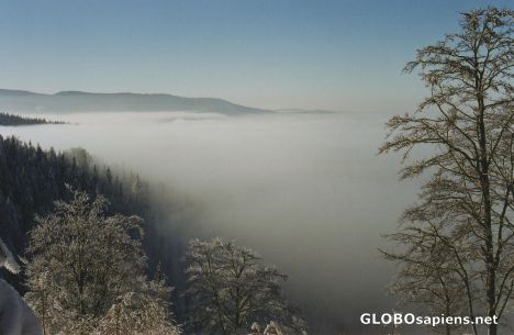 Postcard winter fog