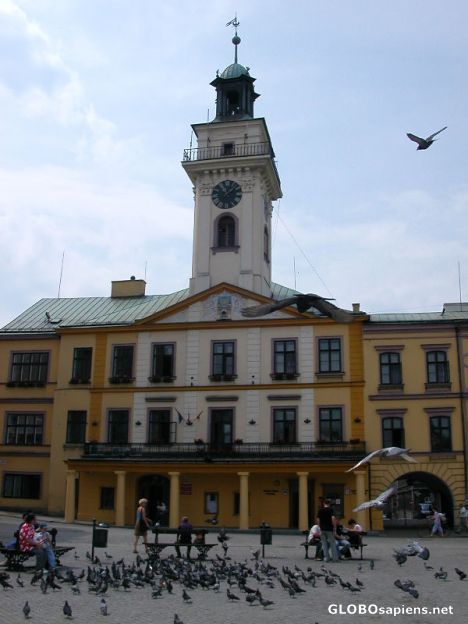 Postcard town hall building