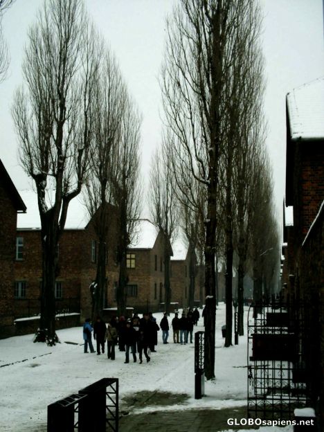 Postcard covered in snow
