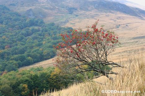 Postcard Bieszczady mountains