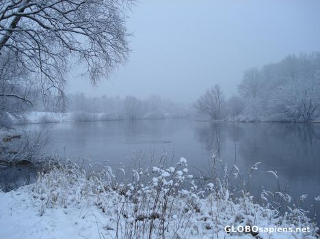 Foggy morning of winter