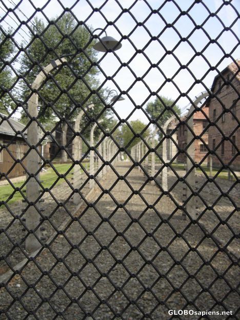 Postcard Security fence in Auschwitz camp.