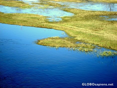Postcard Swamps of river Warta