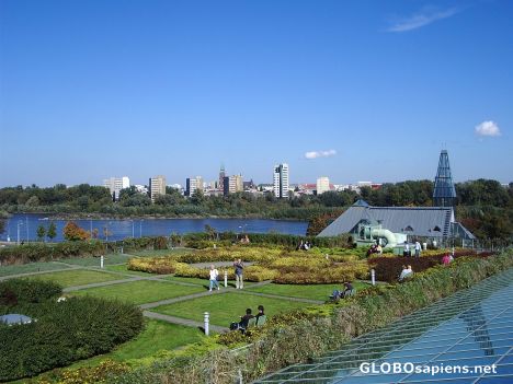 Postcard The roof garden