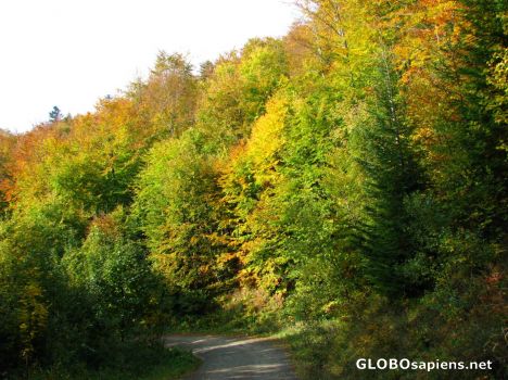 Postcard Bieszczady-Poland