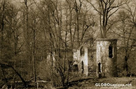 Postcard Ruins of the castle