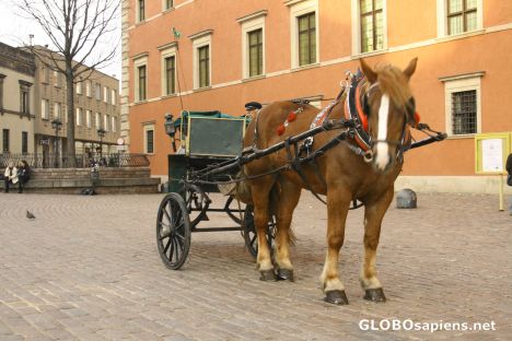 Postcard Coach