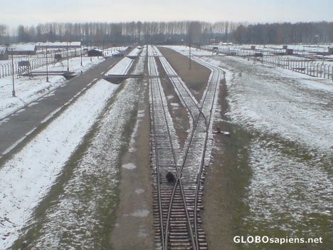 Postcard Auschwitz-Birkenau