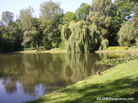 Postcard Wilanów 2