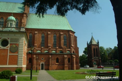 Postcard Cathedral Basilica of the Assumption of Mary