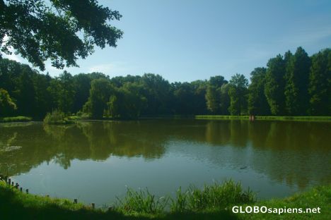 Postcard Arboretum in Kórnik