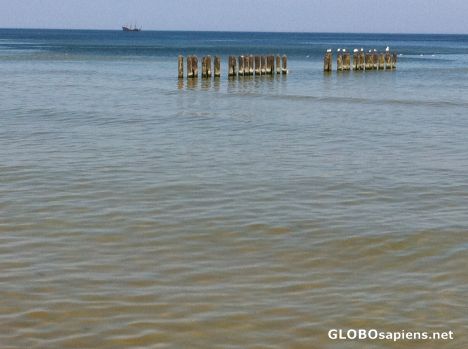 Postcard Ustka (PL) - poles in the sea