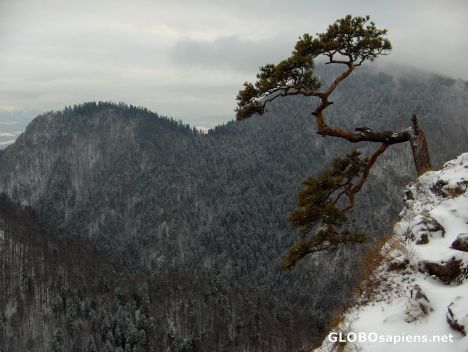 Postcard Gorce Mountains in Southern Poland