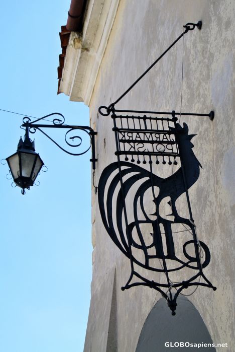 Postcard Kazimierz Dolny - cock 2