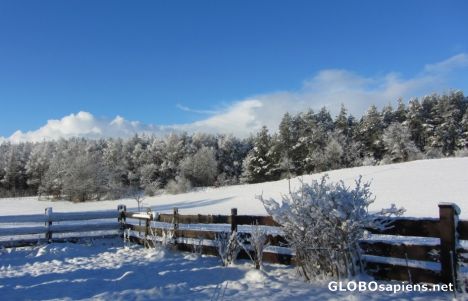Postcard Winter in the countryside