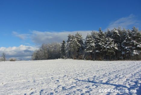 Postcard Szymbark in January